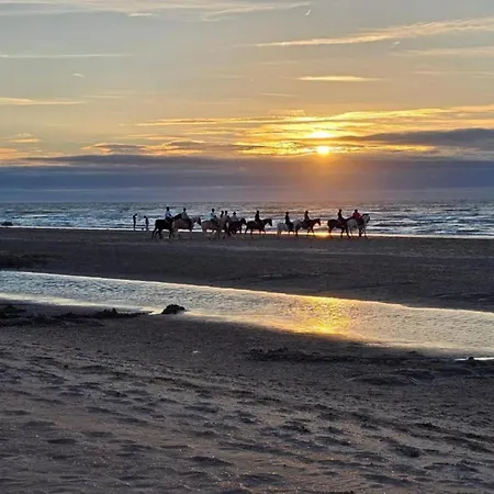 Appartamento By The Coast With Sunny Terrace Oostduinkerke