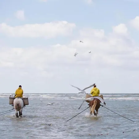 公寓 By The Coast With Sunny Terrace *