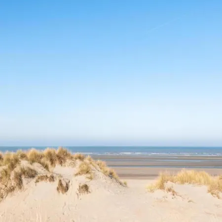 By The Coast With Sunny Terrace